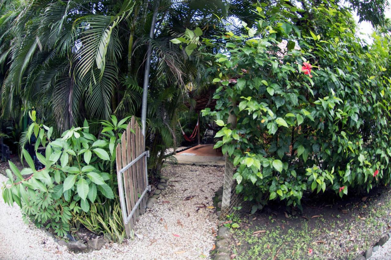 Hotel Disfrutalo Playa Santa Teresa  Exterior foto